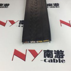 双钢丝扁平电缆
